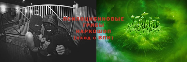 не бодяженный Михайлов