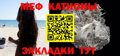 трава Гатчина