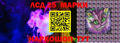 трава Гатчина