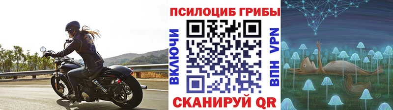где найти Приморско-Ахтарск Галлюциногенные грибы Psilocybe