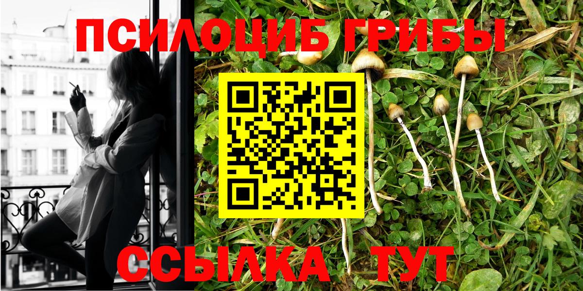 Галлюциногенные грибы ЛСД Приморско-Ахтарск