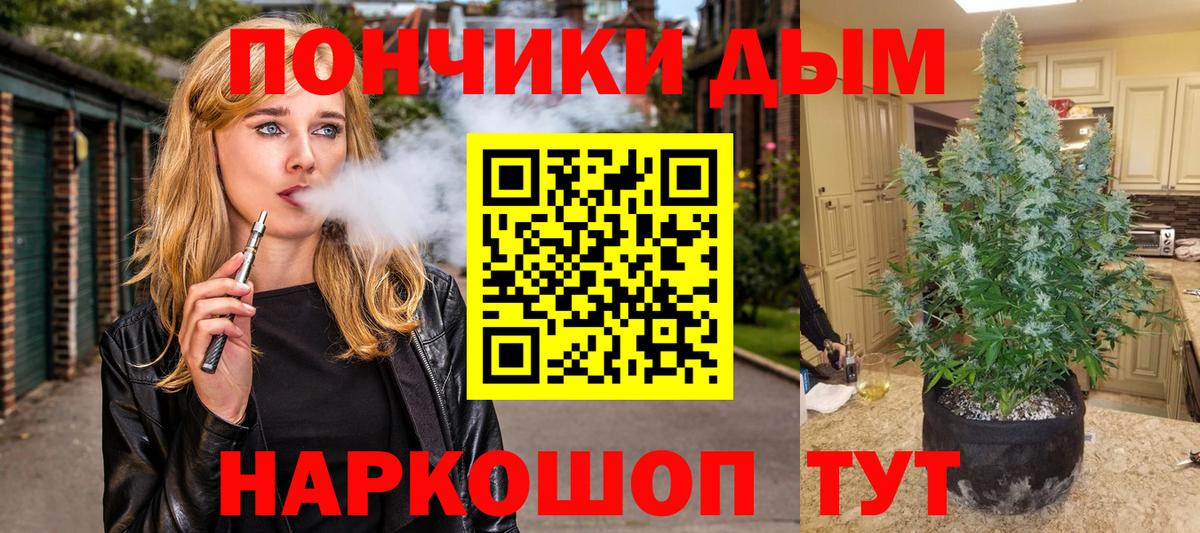 Псилоцибиновые грибы Приморско-Ахтарск